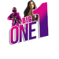 bigone1 logo